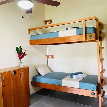 El Hostel Del Patio トルトゥゲーロ エクステリア 写真