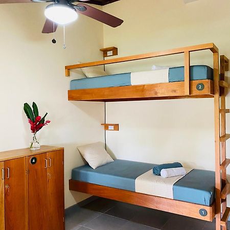 El Hostel Del Patio トルトゥゲーロ エクステリア 写真
