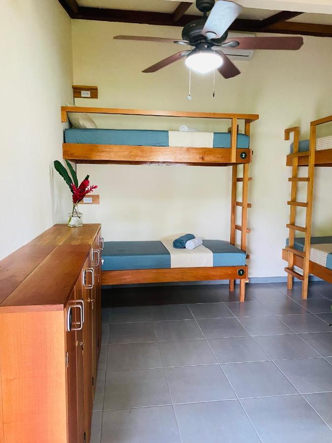 El Hostel Del Patio トルトゥゲーロ エクステリア 写真