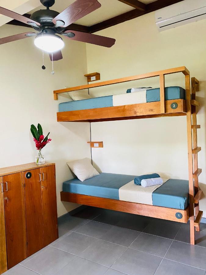 El Hostel Del Patio トルトゥゲーロ エクステリア 写真