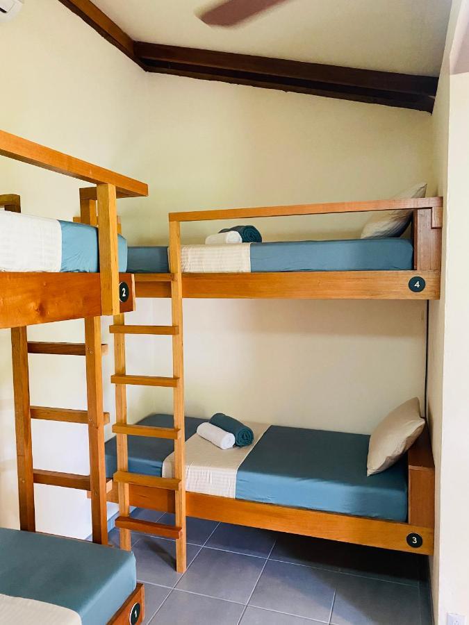 El Hostel Del Patio トルトゥゲーロ エクステリア 写真