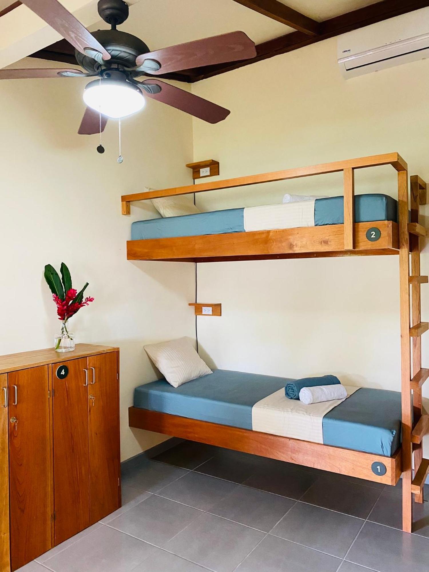 El Hostel Del Patio トルトゥゲーロ エクステリア 写真