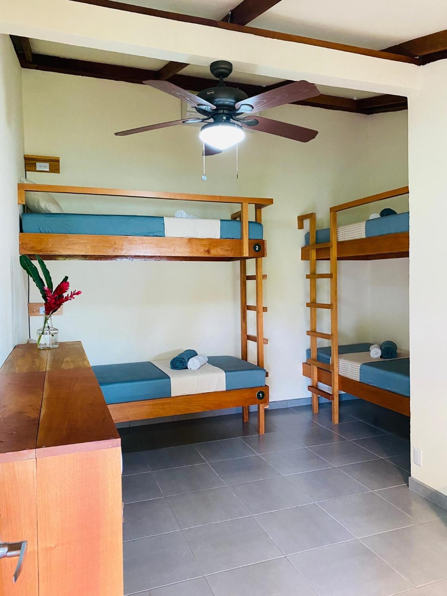 El Hostel Del Patio トルトゥゲーロ エクステリア 写真